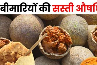 This 10 rupee fruit cures 5 diseases, is a panacea in controlling diabetes-cholesterol, also protects from insomnia!