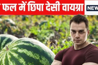 This fruit available in summers is 'Natural Viagra'! Removes weakness of the body, costs 20 rupees per kg