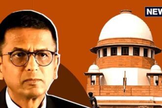 'This is a completely false allegation', why did CJI Chandrachud's bench get angry at the ECI lawyer?