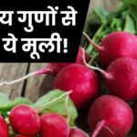 This radish is best for health, red from outside but completely white from inside, there is no shortage of water in the body, know 7 big benefits.