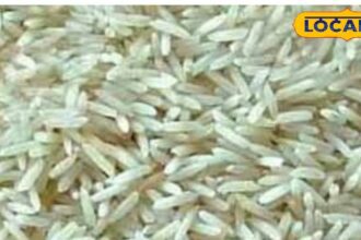 This rice is a boon for diabetic patients...scientist gave this advice to the patients