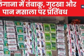 This state took strict action, imposed a 1 year ban on tobacco, gutkha and pan masala