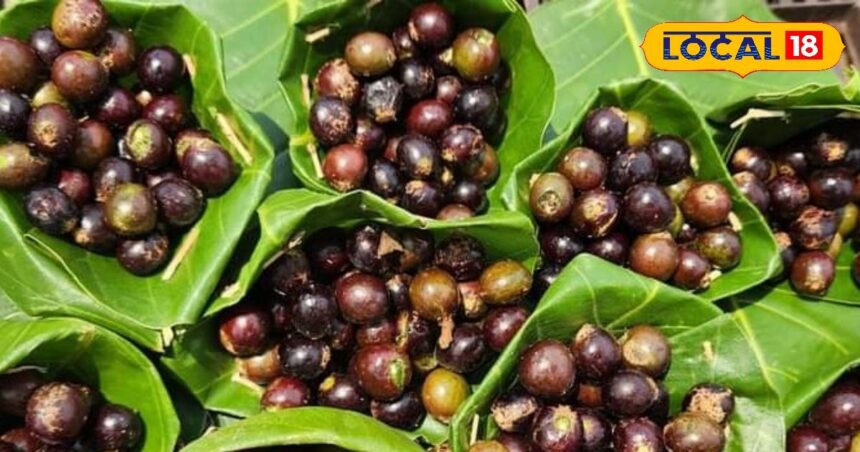 This wild fruit is available only for 2-3 months in a year, effective in increasing immunity.