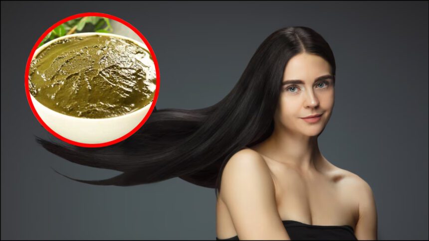 To make hair black, mix these things in henna, hair will become black naturally - India TV Hindi
