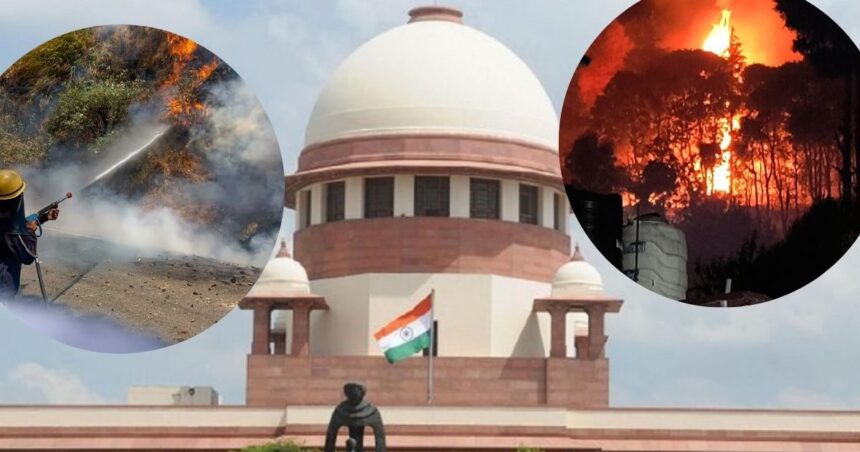 'What horrific pictures of fire are coming', SC asked - what is the government doing?
