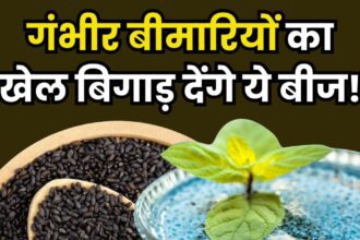 Your stomach is not clear even after sitting in the bathroom for hours? Eat these seeds before sleeping at night, the pain of the whole day will go away!