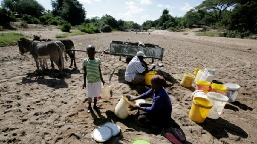 Zimbabwe faces the biggest drought in 40 years, UN makes a big appeal to the world - India TV Hindi