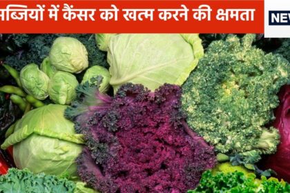 5 vegetables search and kill cancer cells, if even 1 vegetable is included in the diet every day, then many diseases can be cured