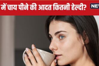 Do you also drink tea in the evening? Know how healthy this habit of yours is, which people should not consume it even by mistake