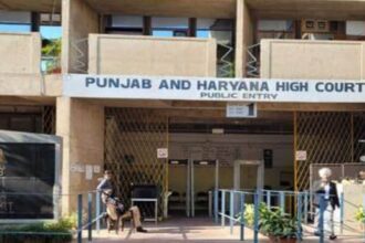 HC rejects reservation of number 5 in government jobs in Haryana, it will affect these recruitments