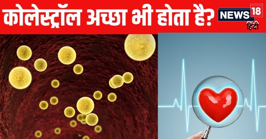 Is good cholesterol really good? This is how it affects heart health, know from the doctor