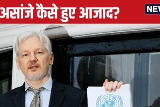 Julian Assange could have been sentenced to 175 years in prison, then how did he get free after just 5 years