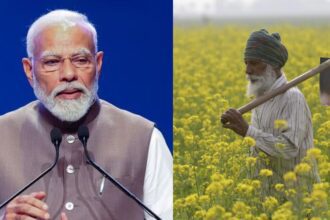 Modi cabinet made several big announcements one after the other, farmers are overjoyed - India TV Hindi