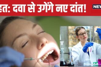 New teeth will grow with medicines, Japanese scientists have created a special drug, people of all ages will get benefit, this is how it will work