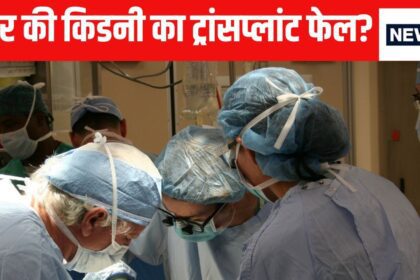 Pig's kidney did wonders for the woman, then why did the doctors remove it? Know the reason