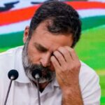 Rahul Gandhi stuck in dilemma! Should he leave Wayanad's seat or Rae Bareli's seat? He will take a decision soon - India TV Hindi