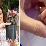Dia Mirza gave birth to a son, admitted to ICU as soon as he was born