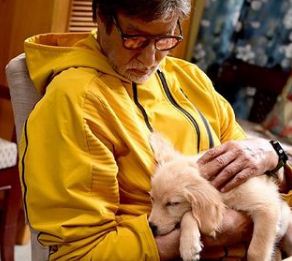 Amitabh shares pictures with 'new partner'