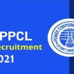 UPPCL Recruitment 2021: असिस्टेंट अकाउंटेंट के 240 पदों पर निकली भर्ती, जल्दी करें आवेदन