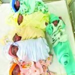 The woman gave birth to seven children at once;  6 died, one critical condition