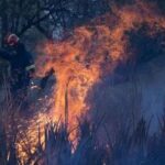 Fire in Greece's forests, so far 16 people have been injured