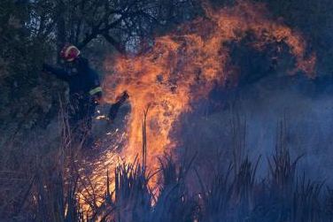 Fire in Greece's forests, so far 16 people have been injured