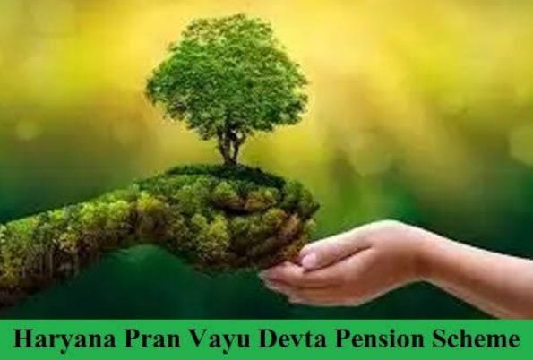 Now trees will also get pension, Haryana government has brought a unique scheme