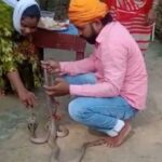 Snake had to tie Rakhi heavy, sister lost her brother on the day of Rakhi