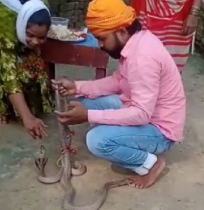 Snake had to tie Rakhi heavy, sister lost her brother on the day of Rakhi