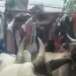 The bulls, who were protesting against the rising prices of petrol and diesel, got angry with Netaji, fell hard on the ground.