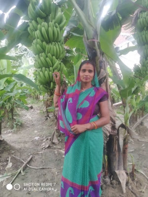 The life of the women of UP is changing with the cultivation of bananas and vegetables