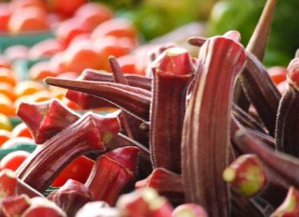 This farmer became rich by cultivating red ladyfinger, know how farming is done