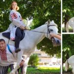 This man lifts the horse on his shoulder, you will be surprised to see the strength