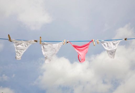 To woo the neighbor's husband, she used to dry her underwear in the garden, the wife complained to the police