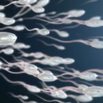 US scientists find new contraceptive antibody, sperm will be weak in just 15 seconds