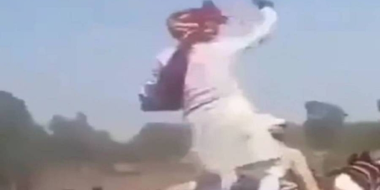 Viral Video: The groom was spending money standing on a horse and then it happened that....!