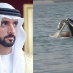 When the Crown Prince of Dubai himself jumped into the water to save a friend who was drowning in the river