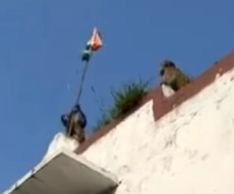 When the monkey hoisted the flag by climbing on the roof of the school, the video is going viral on social media