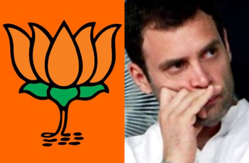 "Those who used to condemn everyday, they had to be ashamed!"  BJP targets Rahul Gandhi
