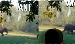 Viral Video: A panicked elephant attacked the man