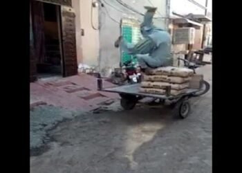 Viral Video: Internet was convinced of this person picking up the sack from the handcart, you also see its unique style