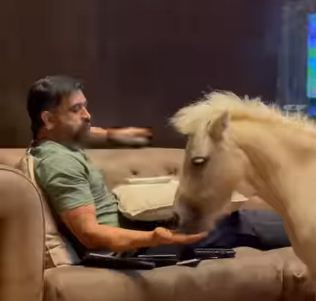Dhoni is looking very cool with this new friend, see this video of him that went viral on social media