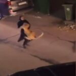 Kuwait: Everyone is surprised to see the woman holding the lion in her lap, the video went viral
