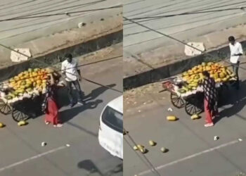 Madhya Pradesh: The hooliganism of the female professor, the lariwala's cart was touched by the car, then the professor threw all the papayas of the lorry