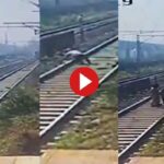 The man was lying on the railway track, the train driver applied the emergency brake, see