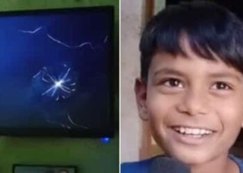 To take out the dog, the child broke the TV with a bat!