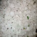 Viral Video: Rain raining from the sky, without weather hail caused heavy damage to crops