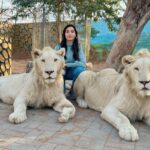 Fans are very fond of these pictures of Nora Fatehi with lion-chimpanzee