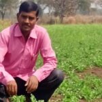 रायपुर: बलवर्धक अश्वगंधा की 35 एकड़ में लगाई फसल, तीन दवा कंपनियों से मिला आर्डर