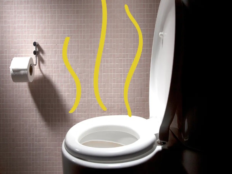 Urine Smell: क्या आपके यूरिन से आती है स्मेल? इन बीमारियों का हो सकता है संकेत